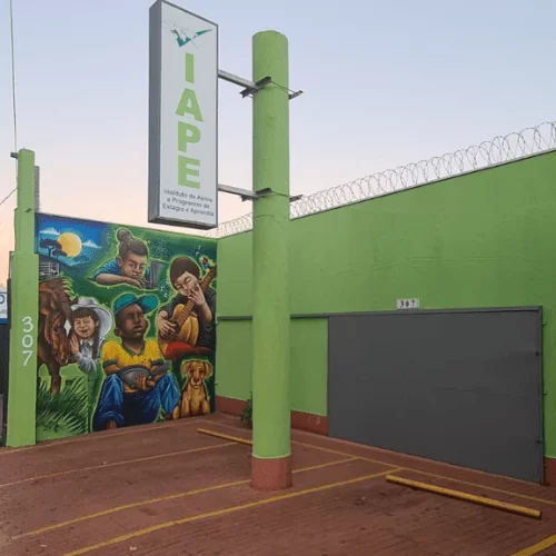 Fachada do IAPE com grafite